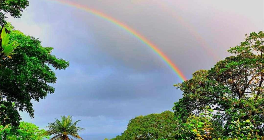 Pousadinha Mar Ave Ilha Principe Buitenkant foto